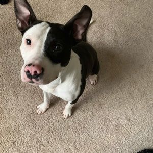 Meet your Posher, Nina